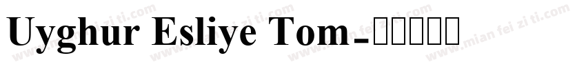 Uyghur Esliye Tom字体转换